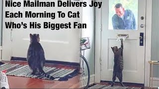 quotFriendly Mailman Brightens Cat’s Day with Morning Deliveriesquot [upl. by Julienne]