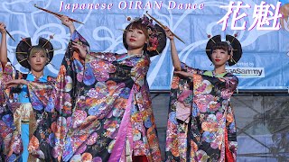 Japanese OIRAN Dance Show in Shinagawa Canal Festival 2024  Show Dancer YOKOHAMA MARIN ROCKET [upl. by Savihc218]