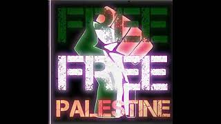 ✊🏾🇵🇸FREE FREE PALESTINE🇵🇸✊🏾SUNTRUTH  Drum n Bass endapartheid freepalestine endtheoccupation [upl. by Lenoj164]