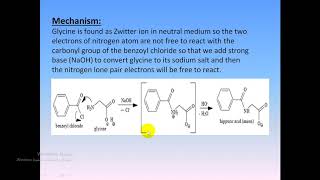 synthesis of hippuric acidتحضير حمض الهيبيوريك [upl. by Henrieta]