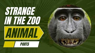 The strange things that the animals did in the zoo🦉part5 [upl. by Saidel]