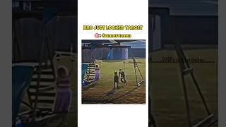 Target 🎯 Locked 🔒 trending dog viralvideos [upl. by Siraj]