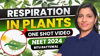 Respiration in Plants Class 11 one shot NCERT  All Concept amp PYQS  Ritu Rattewal  NEET Biology [upl. by Ojaras520]