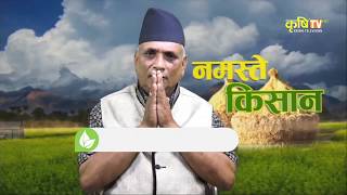 Namaste Kishan  Palungo Sag ko Kheti [upl. by Fleeman690]