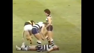 Mick Malthouse HUGE HIT on Sam Newman  AFL Fights and Melees  Geelong VS Richmond [upl. by Dorman]