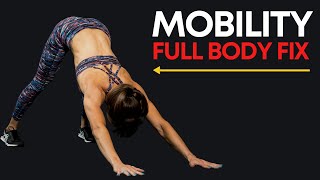 The Perfect Mobility Routine FULL BODY FIX [upl. by Kcoj]