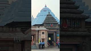 Jagannath tume Jagannath 🙏❤️🙏Jagat ra nath Jay Jagannath 🌸🌼🌸lovejayjagannath like subscribe [upl. by Hairabez]