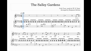 The Salley Gardens arr Britten  Trinity Grade 5  Group B  Piano Accompaniment  G Flat Major [upl. by Agretha]