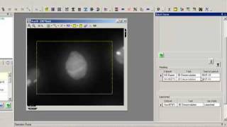 AutoQuant deconvolution Batch Processing Tutorial [upl. by Adiaroz482]