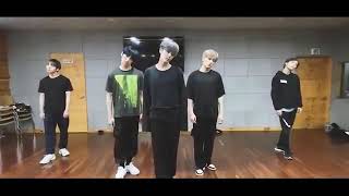 REVEAL  THE BOYZ • Dance practice mirror [upl. by Gader]