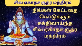 ஸ்ரீ ருத்ர பாராயணம்  Rudram Namakam Chamakam  Sri Rudra Parayanam [upl. by Bertie632]