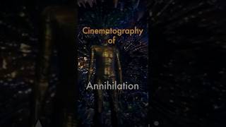 Cinematography of Annihilation shorts movie [upl. by Kramlich]