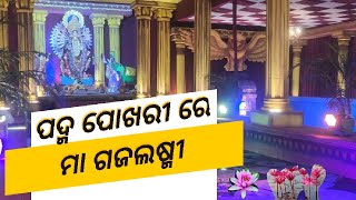 Gajalaxmi Mela 2024 at Regional Chaka Bhubaneswar  Festivities amp Traditions [upl. by Redman]