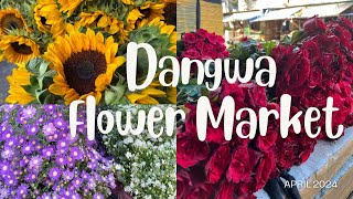 DANGWA FLOWER MARKET  April 2024  Murang mga Bulaklak [upl. by Nauquf]