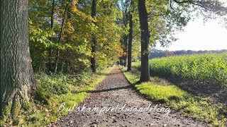 Prachtige herfstwandeling Bulskampveld te Beernem WestVlaanderen [upl. by Assilym]