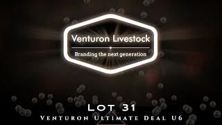 Lot 31 Venturon Ultimate Deal U6 [upl. by Giralda753]