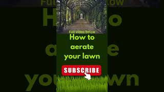 How to aerate your lawn lawncare lawncare101 lawncarelifestyle [upl. by Yadnus78]