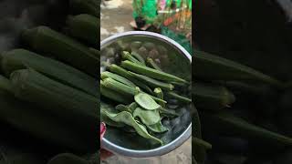 Puri safai ho gai mere terrace garden ki aap khud dekhiye kitna acha dikh rha puratrendingplants [upl. by Runkle]