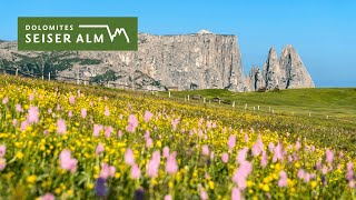 Summer holidays in the Dolomites ☀️⛰️ [upl. by Soalokin543]