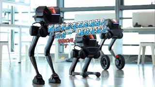 Multipurpose first polymorphic bipedal robot [upl. by Hurlee]