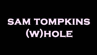 sam tompkins  whole InstrumentalKaraoke [upl. by Menard376]