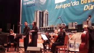 Sevdiğim yar Arguvana Malatyaya değmeli🎼🎺 🎶🎶sing [upl. by Vernen277]