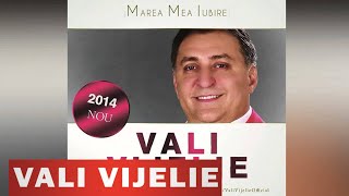 VALI VIJELIE amp ASU  MAREA MEA IUBIRE HIT 2014 [upl. by Osterhus]