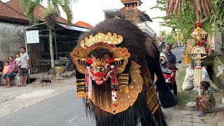 Ngelawang BARONG BANGKUNG UMANIS GALUNGAN Desa Adat Cemagi 2024 [upl. by Sawyere]