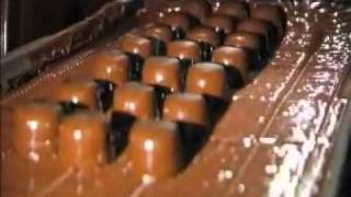 How Its Made Assorted Chocolates [upl. by Kalila]