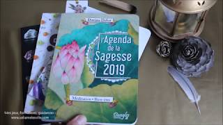 Quel sera votre agenda 2019 [upl. by Notterb658]