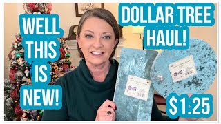 DOLLAR TREE HAUL  NEW  INTERESTING FINDS  125  I LOVE THE DT 😁 [upl. by Vergne]