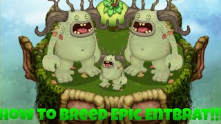 How To Breed Epic Entbrat My Singing Monsters [upl. by Nwahshar441]