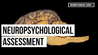 Neuropsychological Assessment Series 1 [upl. by Haon9]