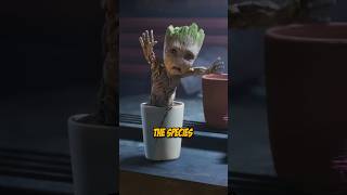 The History of Groot 🌴 [upl. by Kostival]