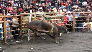 JARIPEO EN INDAPARAPEO MICHOACAN 2024 ¡¡ [upl. by Ahsinav]