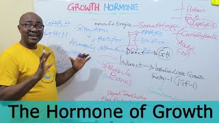 Interesting Facts About Growth Hormone [upl. by Giulia859]