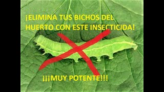 INSECTICIDA CASERO PARA PLANTAS 🐛 ELIMINA ORUGAS ARAÑA ROJA PULGÓN APICHI INSECTICIDA ORGÁNICO [upl. by Natsirt]