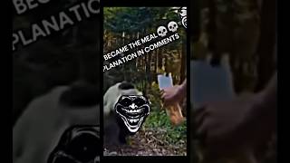 aura atack memes trollface edit trending fnaf funny funnymoments phonk monetization fy [upl. by Naziaf208]