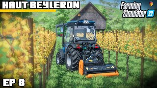 SUMMER MULCHING AND HARVEST  Farming Simulator 22  HautBeyleron  Episode 8 [upl. by Georgina]