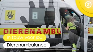 In touw voor jou Dierenambulance [upl. by Annor]