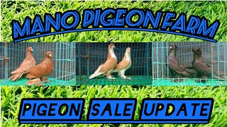 Fancy Pigeon Sale Update Tamil 🕊️ [upl. by Miarhpe]