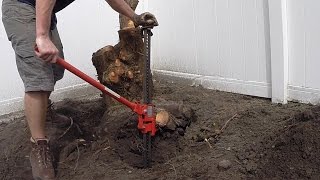 Stump Removal with Farm Jack [upl. by Quigley]