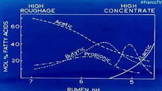 Fisiología Ruminal  Cambios de pH AcidosisAlcalosis [upl. by Shanley]