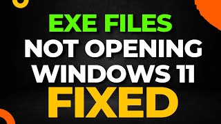 EXE Files Not Opening Windows 11 [upl. by Hobey356]