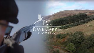 Magnificent Scottish Pheasants Dave Carrie Shooting [upl. by Colas]