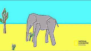 most realistic elephant programmed ever [upl. by Palm]