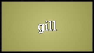 Gill Meaning [upl. by Acebber]