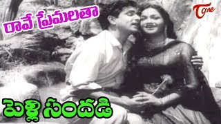 Pelli Sandadi Songs  Raave Naa Premalatha  ANR  Anjali Devi  OldSongsTelugu [upl. by Adlee]