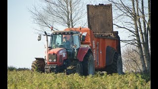 Epandage de Fumier 2019  x2 Massey  6497 amp 7614  ETA Le Forestier [upl. by Yank]