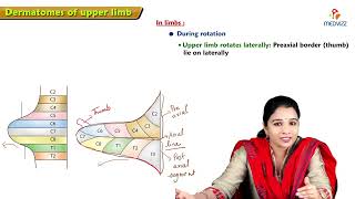 17 Dermatomes of Upper Limb Anatomy  MBBS Lecture [upl. by Airetahs410]